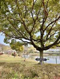 🇯🇵 名古屋吉卜力公園免費打卡位🎀