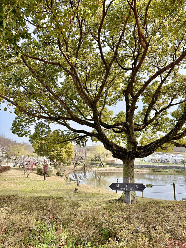 🇯🇵 名古屋吉卜力公園免費打卡位🎀
