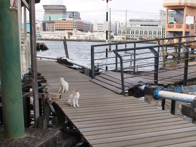 【ブルネイ】世界最大級の水上集落🛶カンポン・アイール