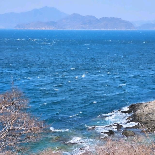 今治市の春の絶景を楽しもう