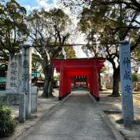 🇯🇵【愛媛県】朱塗りの鳥居が華やか！別宮稲荷神社⛩️^ ^