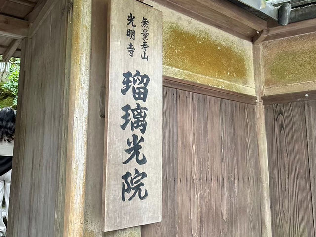 🇯🇵【京都】特別拝観期間だけ拝観できる！瑠璃光院！