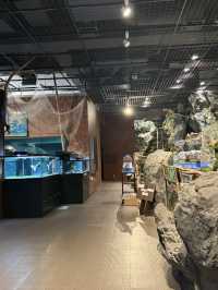 水と自然を満喫できる「道の駅 みなかみ水紀行館」—家族で楽しめる体験型スポット