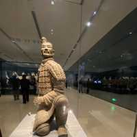 13-day Tour of Shanghai, Dezhou, Beijing, and More