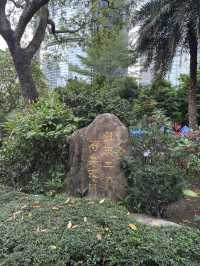 香港公園｜偽櫻花宮粉羊蹄甲