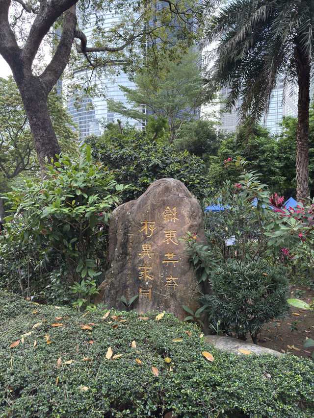 香港公園｜偽櫻花宮粉羊蹄甲