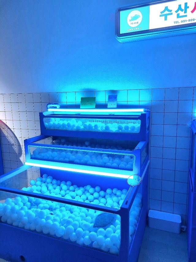 특별한 체험형 전시회 시장에 서면🛍