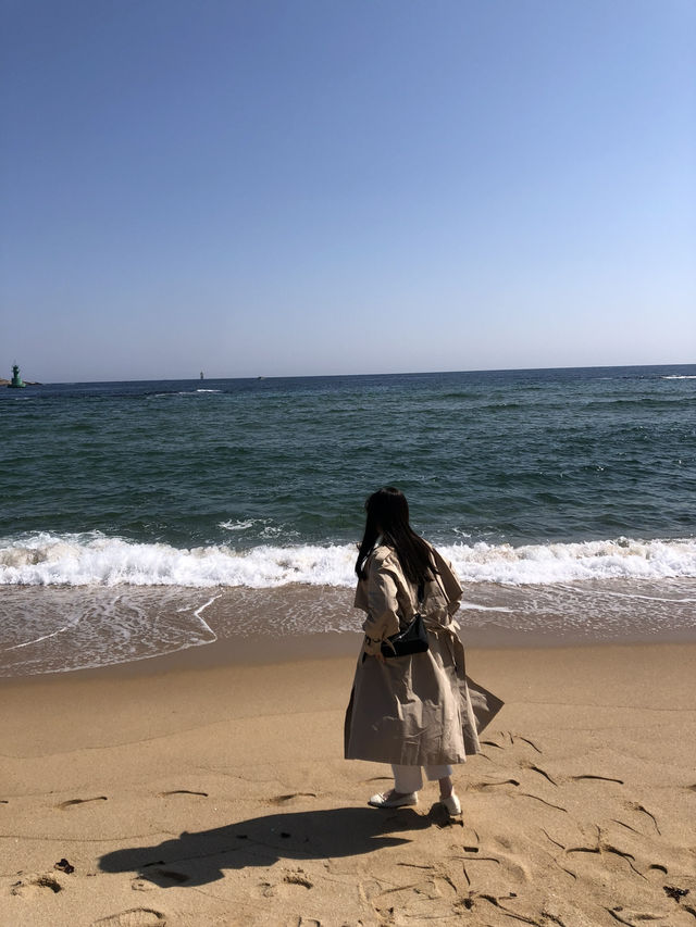 세상에 강원도에 있는 너무 이쁜 해수욕장!⛱️