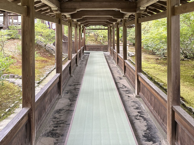 京都天龍寺：穿越時光的禪意之旅，在嵐山竹林中尋找內心的寧靜！