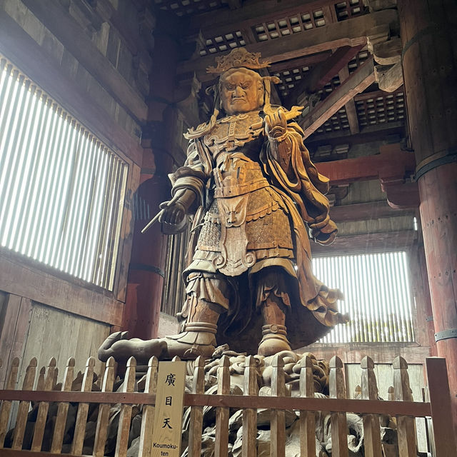 日本奈良半日遊🇯🇵