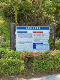 도심 속 폭포, 시원함을 느끼기 좋은 곳