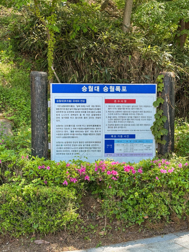 도심 속 폭포, 시원함을 느끼기 좋은 곳
