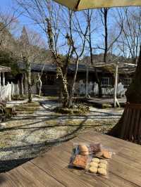 【熊本グルメ】山の奥の自然豊かな場所にある癒しカフェ🍽