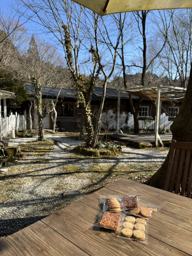 【熊本グルメ】山の奥の自然豊かな場所にある癒しカフェ🍽