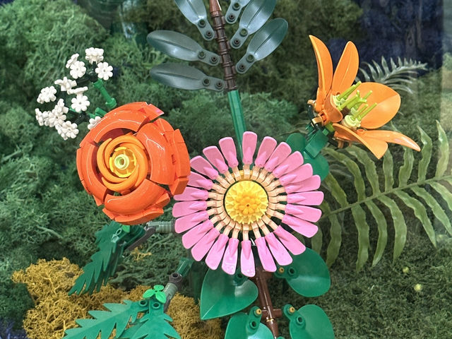 #香港好去處 | 展覽 | 金鐘太古廣場 | 全港首個樂高植物園