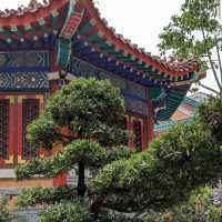 志蓮淨苑及南蓮園池 (Chi Lin Nunnery and Nan Lian Garden) - 寧靜的節慶文化體驗 (Tranquil Festive Cultural Experience)