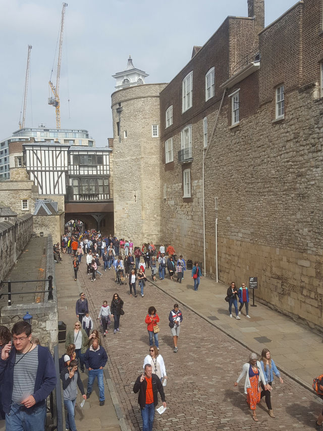 🏰 “천년의 시간을 걷다 – Tower of London”