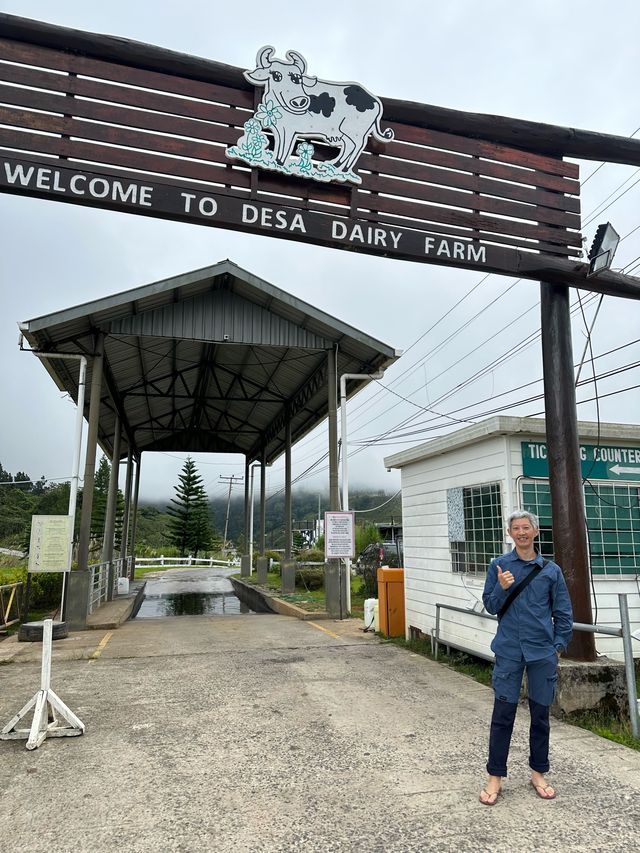 馬來西亞沙巴神山Mt. Kinabalu自由行