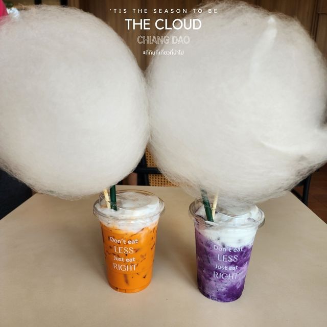 ตามหาคาเฟ่ ก้อนเมฆ ที่ THE CLOUD Chiang Dao