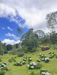 Kundasang!