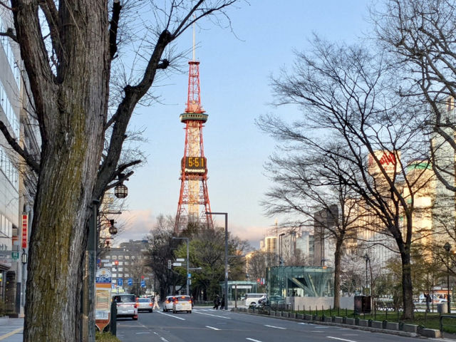 Blooms in the north 