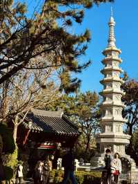 釜山海東龍宮寺｜海岸線上最美的寺廟🌊
