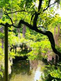 Peaceful, Pretty, and Super Relaxing