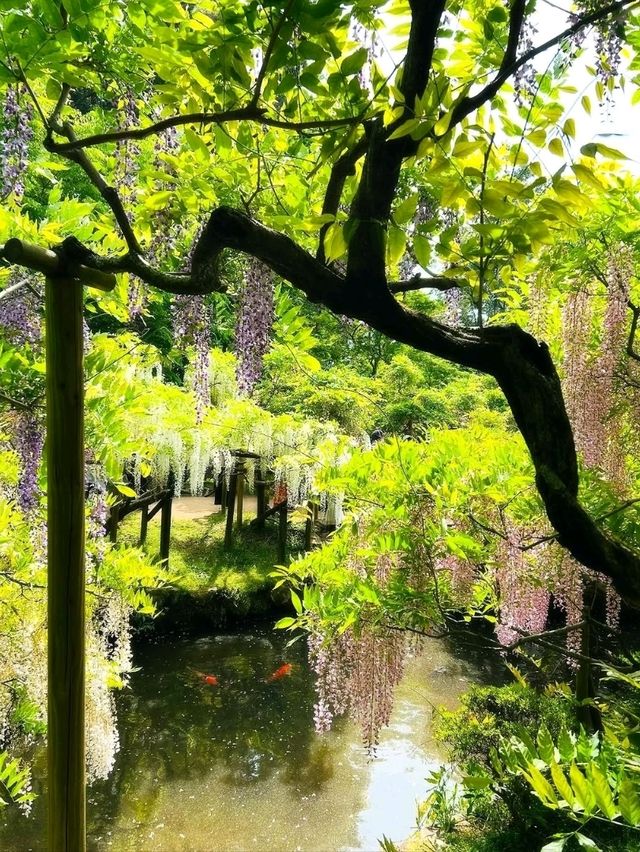 Peaceful, Pretty, and Super Relaxing
