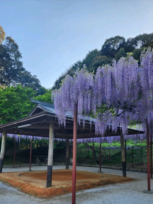 【山口グルメ】道の駅おふく・西八幡宮