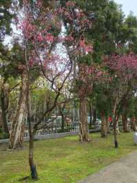 Sculptures That Tell a Story – Hidden Gems in Taipei