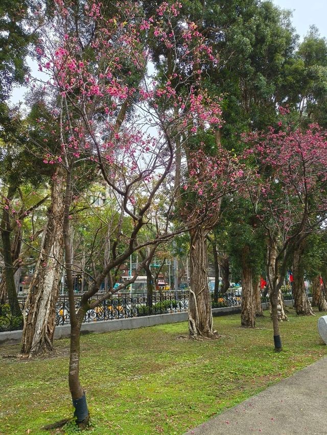 Sculptures That Tell a Story – Hidden Gems in Taipei
