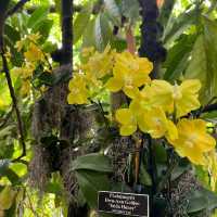 A Day at the New York Botanical Garden: A Bronx Escape