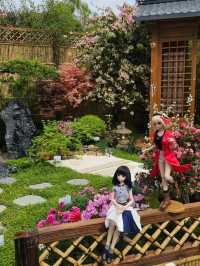 維多利亞公園鮮花任賞