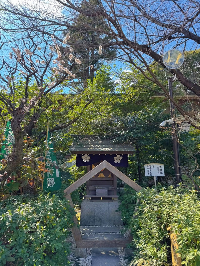 【東京】ここ行ったらやるべき3つのこと🌸桜の神結びで運気アップ