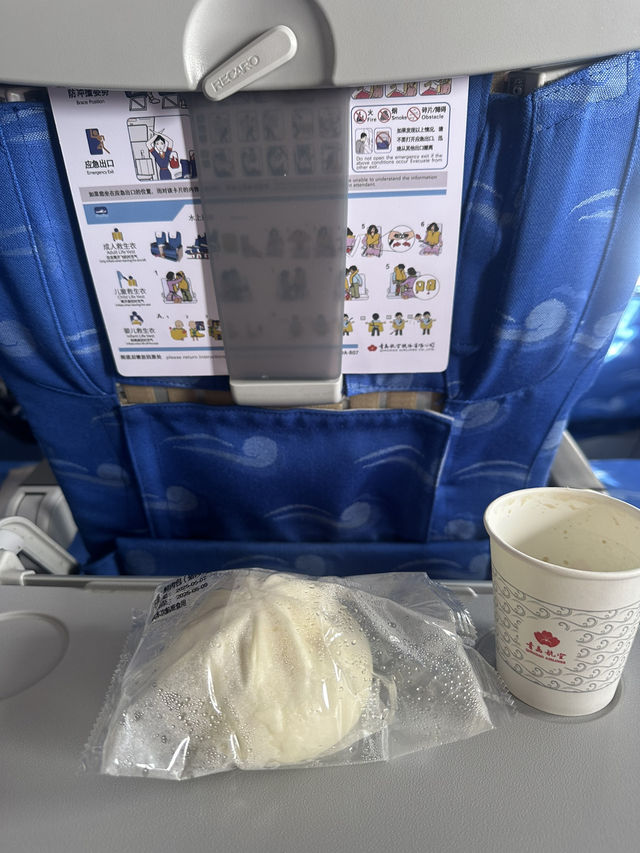 【搭乗記】青島膠東国際空港→関西国際空港✈️