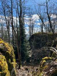 Spring Awakens in Oslo: Where Fjords Meet Art & Nature