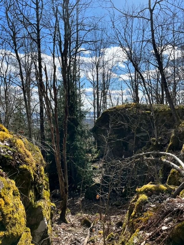 Spring Awakens in Oslo: Where Fjords Meet Art & Nature