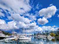 Stanley Park Stroll: Yachts, Serenity, and Unforgettable Views