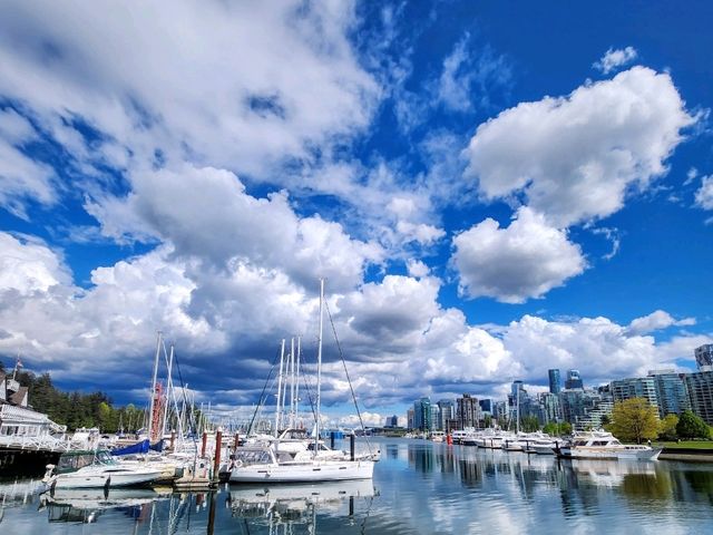 Stanley Park Stroll: Yachts, Serenity, and Unforgettable Views