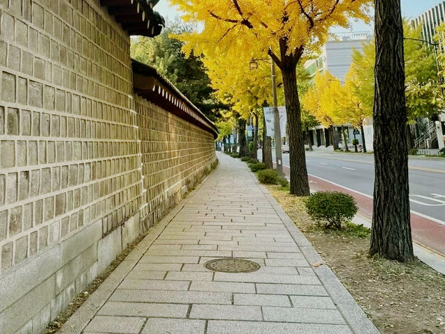 韓國🇰🇷德壽宮