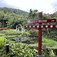 Immersed in Nature: Exploring Yanoda Rainforest in Hainan 