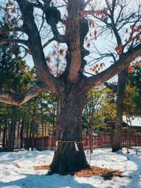 BEAUTIFUL PARK.