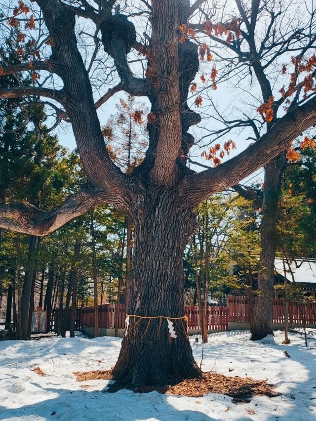 BEAUTIFUL PARK.