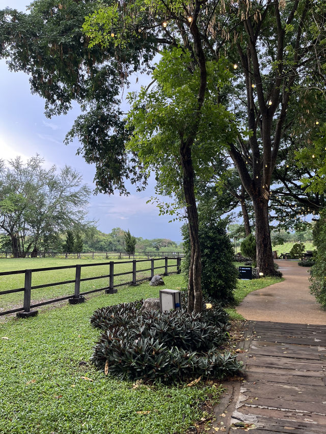 พักผ่อนท่ามกลางสวนองุ่นแถม จิบไวน์ ดูวิว