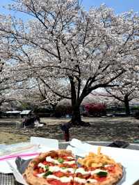 A Peaceful Day in Samukawa – Shrines, Sakura & a Slow Walk