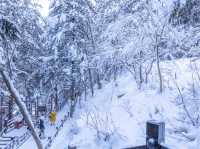 Snow Town ช่วงกลางวัน