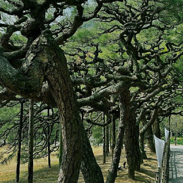 Takamatsu – The Gateway to Shikoku and Garden Paradise