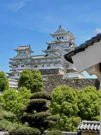A Laid-Back Day in Himeji – Castles, Calm & a Few Furry Friends