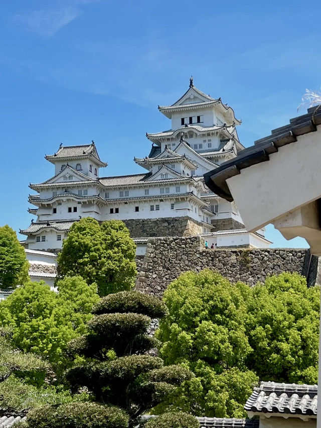 A Laid-Back Day in Himeji – Castles, Calm & a Few Furry Friends