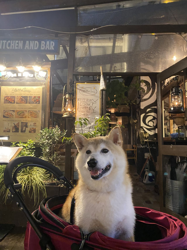【日本🇯🇵京都】🐶と楽しむ京都